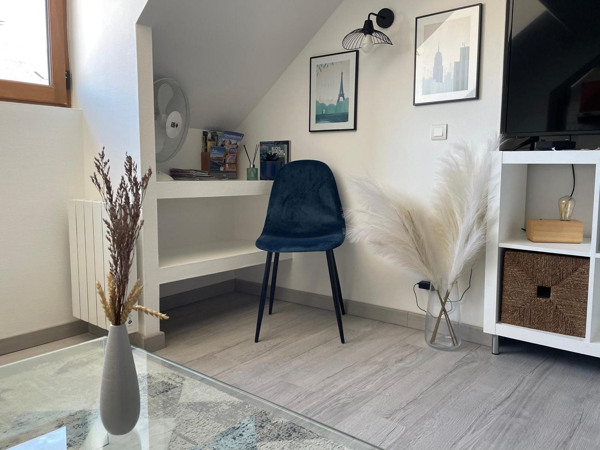 Magnifique Logement Au Pied Du Chateau Blois Dış mekan fotoğraf