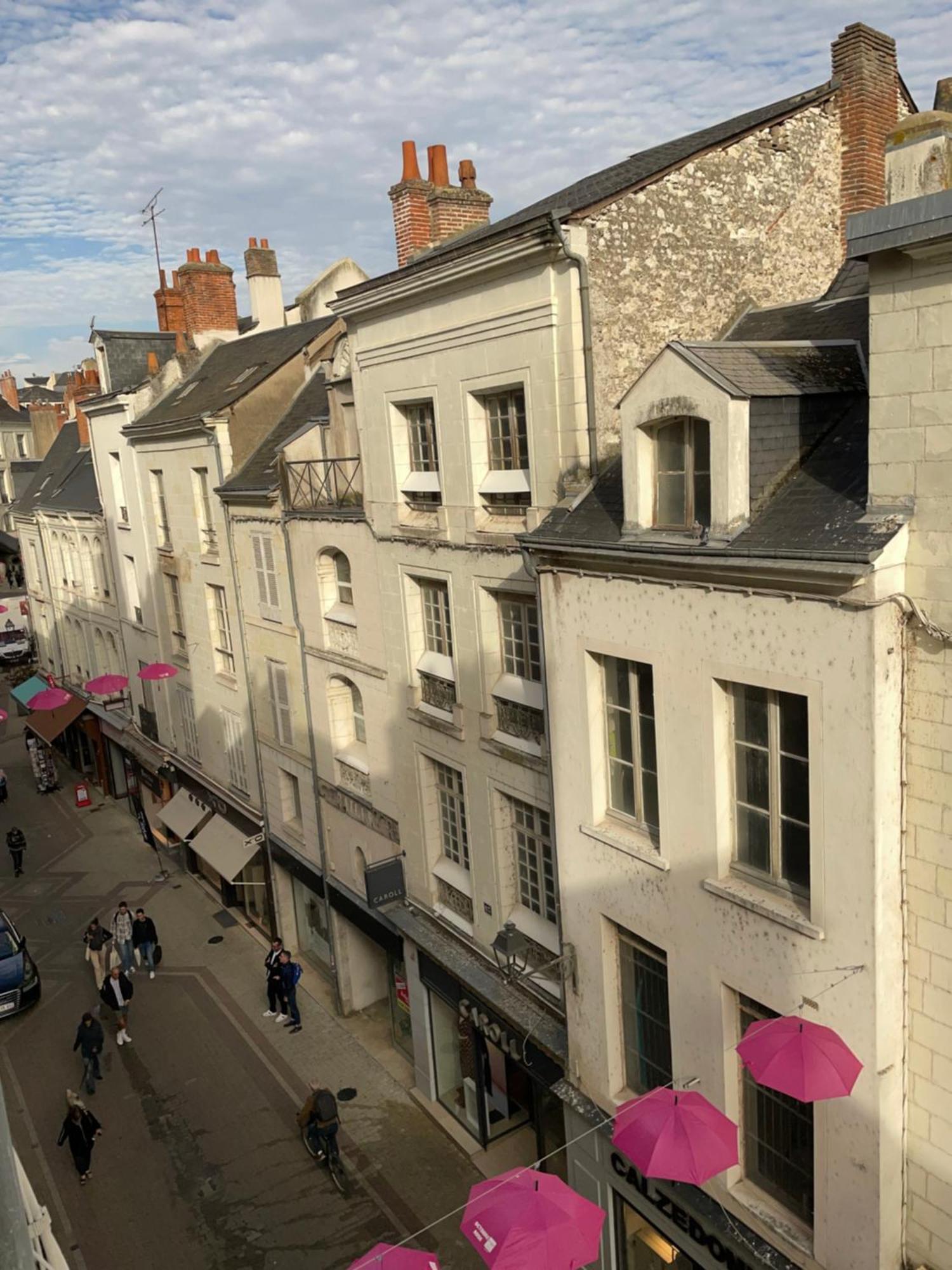 Magnifique Logement Au Pied Du Chateau Blois Dış mekan fotoğraf